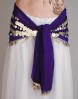 Belly Dance Hip Scarf, Large and Small Coins
